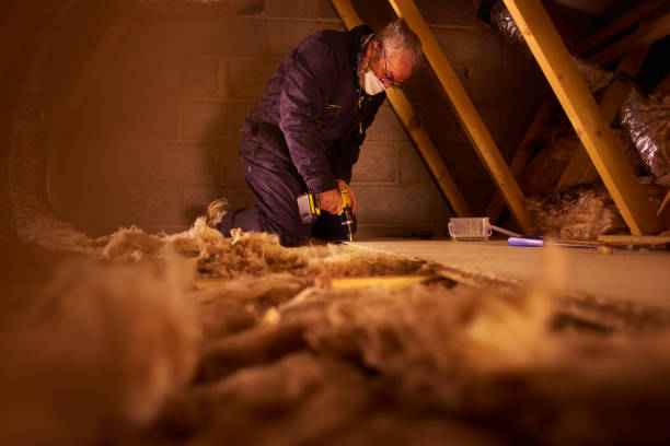 Best Energy-efficient Insulation  in Andrews Af, MD